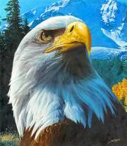 Гордый орел на фоне заснеженных гор