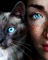 Девушка и кошка с голубыми глазами