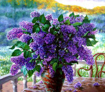 Сиреневая сирень