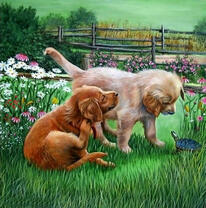 Два песика на лужайке