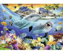 Два счастливых дельфина