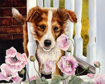 Рыжая собака в цветах