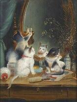 Котята у зеркала