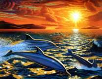 Дельфины на закате