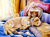 Дружный сон