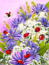 Красные жучки на цветах