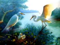 Семья аистов