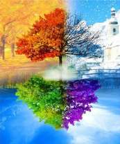 Времена года