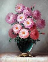 Розовые астры