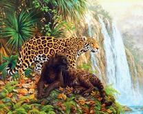 Леопарды у водопада