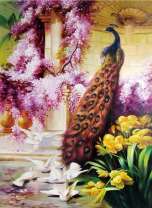 Павлин и голуби в саду