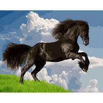 Черный конь на вершине