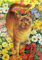 Рыжий большой кот в весенних цветах