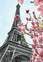 Эйфелева башня и яркое цветение сакуры