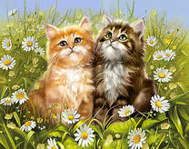 Два пушистых котёнка в ромашках