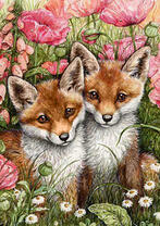Два лисёнка в маках и ромашках