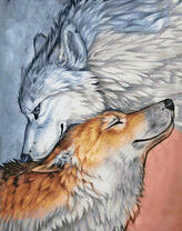 Рыжая волчица и белый волк