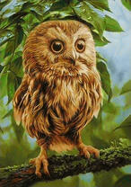 Милый совенок на летнем дереве