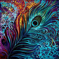 Красивое перо павлина