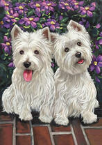 Пара щеночков на фоне цветущего кустика