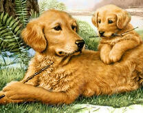 Мама учит щеночка приносить палку