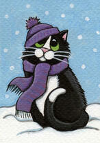 Черно-белый кот в шапке на снегу