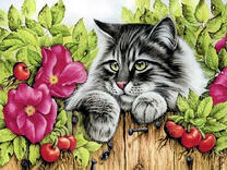 Серый кот у деревенского забора