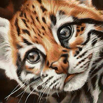 Милый маленький леопард