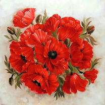 Вид на красивый букет маков