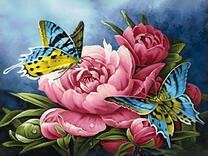 Желто-голубые бабочки на пионах