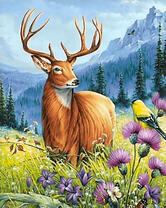 Большой олень на горном лугу