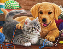 Игра пушистого котенка и щенка в комнате