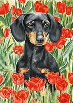 Щенок таксы в цветущих тюльпанах