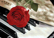 Красная розы на клавишах пианино