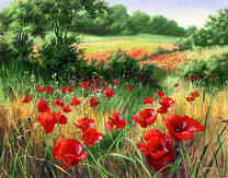 Весенняя поляна цветущих маков