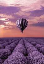 Фиолетовый шар над лавандовым полем