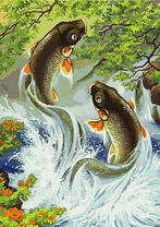 Два карпа на водопаде