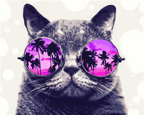 Серый кот с отражением пляжа в очках