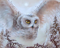 Алмазная вышивка Номерашка &laquo;Полярная сова над лесом (20шт)&raquo;