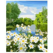 Ромашки на берегу лесной реки