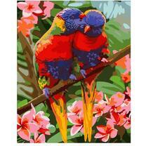 Пара попугайчиков на ветке