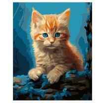 Рыжий пушистый котёнок с голубыми глазами