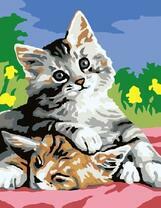 Котята на цветочном лугу