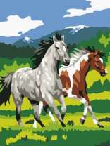 Лошадиный галоп