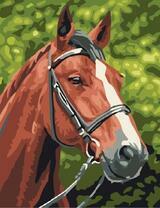 Конь со звездой во лбу