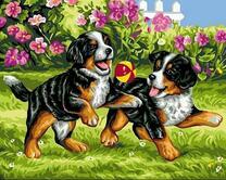 Игривые щенки в саду