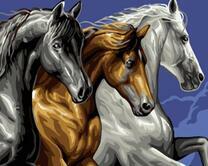 Три породистые лошади