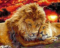 Пара львов на закате дня