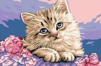 Пушистая кошечка и роза