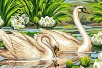 Два лебедя среди лотосов